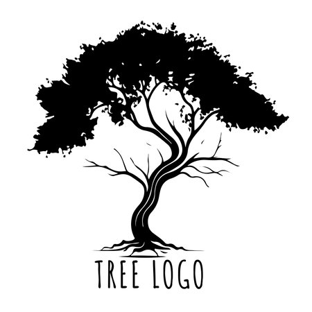 Tree icon concept of a stylized tree with leaves, lends itself to being used with text. vector illustrationのイラスト素材
