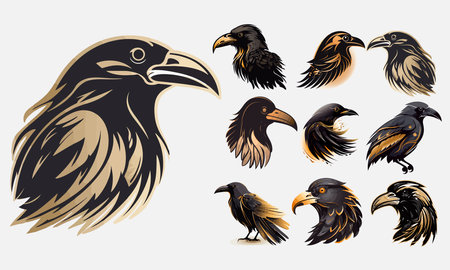 Vector Raven collection. Black and gold Crow, raven, birds set.のイラスト素材