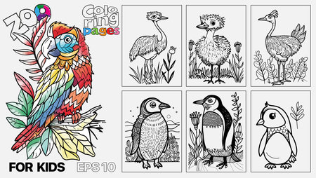 A book of childrens coloring pages featuring birds and penguins. The pages are designed for kids and come in a set of six. Kindle print.のイラスト素材