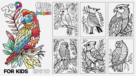 A book of childrens coloring pages featuring birds. The pages are designed for kids and come in a set of six. Kindle print.のイラスト素材