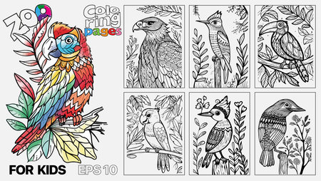 A book of childrens coloring pages featuring birds. The pages are designed for kids and come in a set of six. Kindle print.のイラスト素材