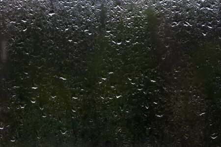 Few raindrops on the window glass close-up outside the window dark green forestの写真素材