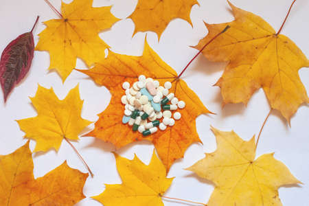 Flatley, yellow maple leaves on a white background, on a leaf in the middle are pills. Concept of increasing morbidity in autumnの写真素材