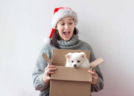 A teenage girl opens a cardboard box and theres a little pomeranian dog