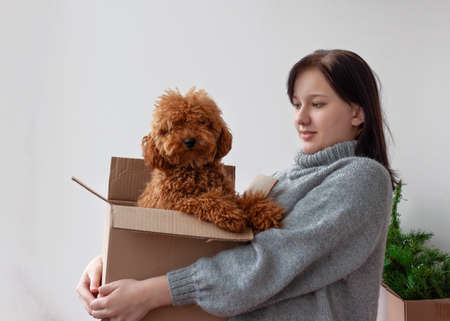 A teenage girl is holding a box in which a miniature poodle is sitting.