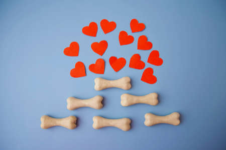 Five bones for a dog lie on a blue background with red hearts above them