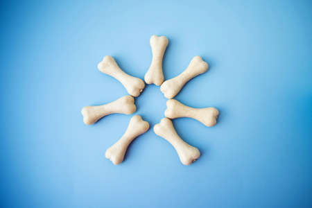 The bones of the dog food lie on a blue background in the form of a sunの写真素材