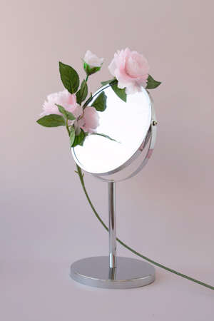 Around the round mirror flowers with a long curved leg the concept of aestheticsの写真素材