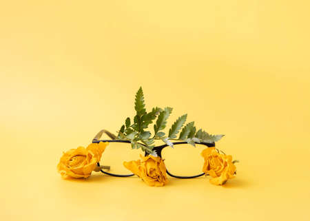 Glasses for vision on a yellow background next to roses and a fern leafの写真素材