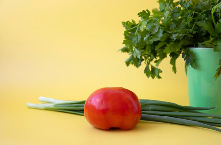 On a yellow background there are tomatoes and green onions and parsley with dill in a green circle a place for textの写真素材
