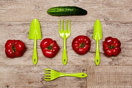 Lush raw tomatoes, cucumber, gardening tools including shovel, rake. Garden and yard care background texture. Flat lay templateの写真素材