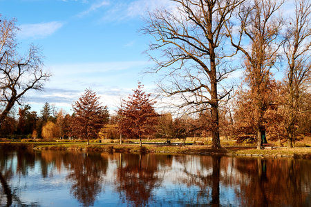 Fall scenic view of the calm lake in the city park. Orange tranquil trees and foliage. Public park...