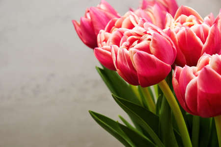 Vivid bouquet of fresh pink tulips in the vase. Colourful flowers and herbs. Womens and mothers day backgroundsの写真素材