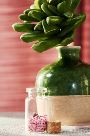 Little glass jar with pink scented petals and green succulent in the spa shop. Makeup and healthcare backgroundsの写真素材