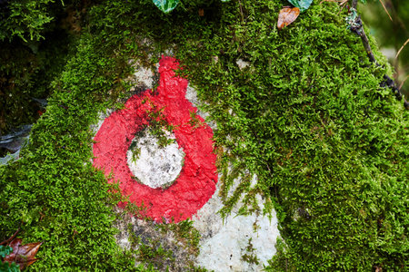 Trail marker for hacking painted on a moss-covered stone. Activities and adventures in the forest and mountainsの写真素材