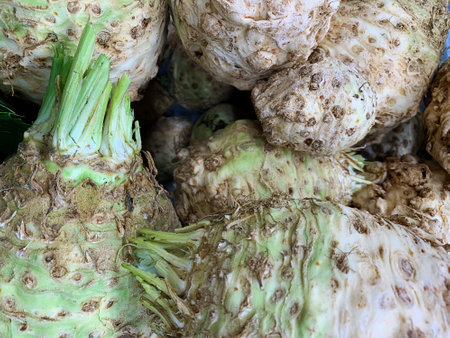 Green and brown celery roots background. Vegetarian food and agriculture theme