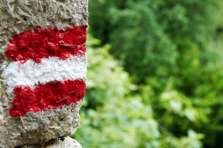 Hiking footpath route sign on the stone wall with forest on the back. Leisure activity themeの写真素材