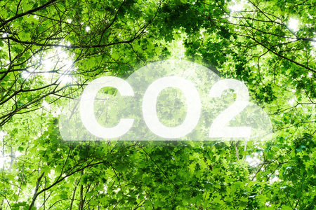 Conceptual nature image. Carbon dioxide emissions problem for nature and ecology. CO2 icon with clouds located in a lush forestの写真素材