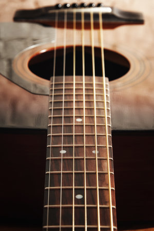 Dark detailed macro view of acoustic guitar frets and string and soundboard. Musical instruments and...