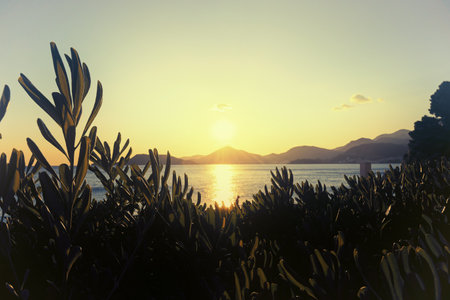 Bright sunrise over the mountains and sea lagoon. Lush green trees on the front. Mediterranean...