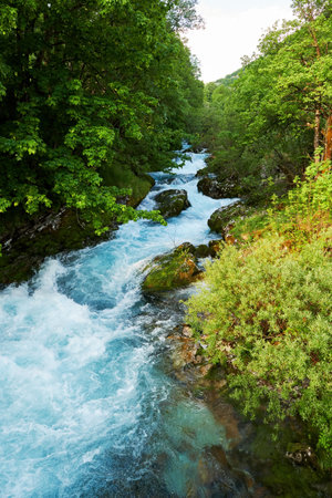 Fast strong river stream in the mountain forest. Wild nature backgroundsの写真素材