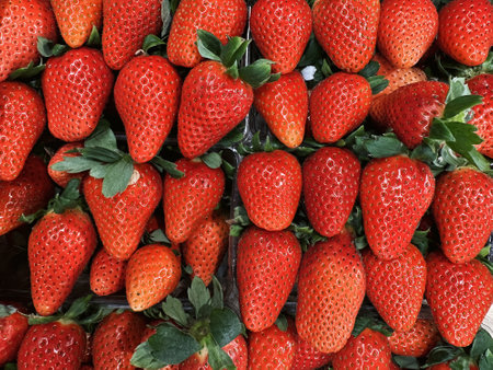 Big strawberry boxes top view texture. Fruit retail shop backgroundsの写真素材