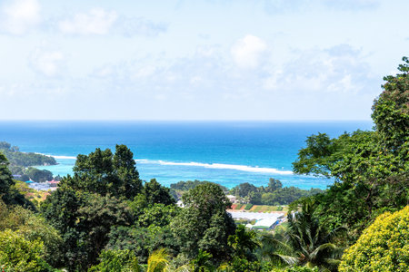 Aerial view of a tropical island paradise. Lush green rainforest cascades down to meet the pristine turquoise waters below.の写真素材