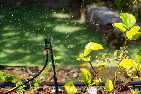 A sprinkler is watering plants in a garden, creating a fine mist of water droplets. Automatic irrigation systemの写真素材