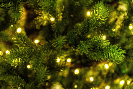 Christmas tree lush green branches with warm glowing garland lights. Cozy and festive atmosphere,...