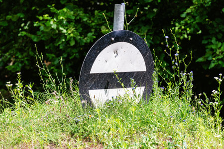 An old, weathered No Entry railway traffic sign stands amongst wildflowers and grass, showing signs of damage and neglectの写真素材