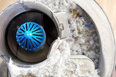 Detailed view of dust and broken filter in vacuum cleaner opened container. Housekeeping and...