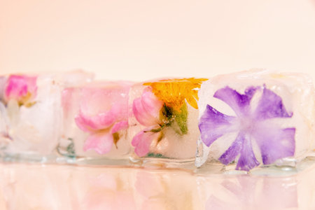 Four ice cubes in a row with different summer flowers frozen inside. The ice cubes are set against a pink background. Copy space for advertisementの写真素材