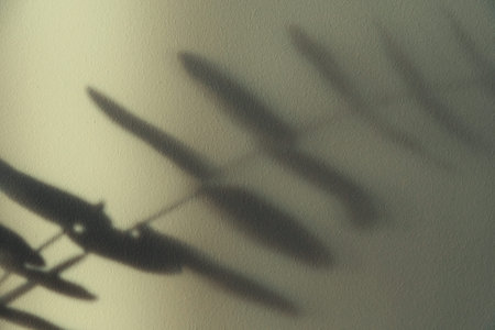 Soft plant shadows dance on a textured beige wall, creating a serene, minimalist background. Perfect...