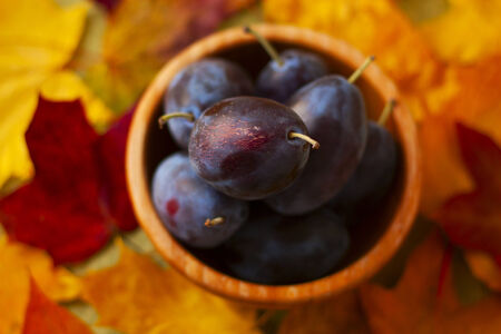 Fresh plums in a wooden suit on a background of autumn leavesの写真素材