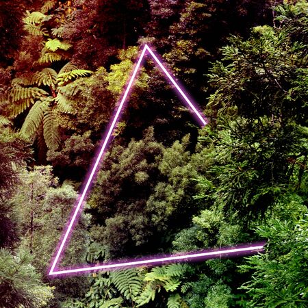 Green plants in a bright neon frameの写真素材