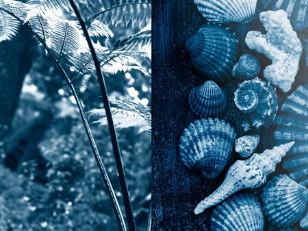 Collage about a trip to the South seas: jungle plants and sea treasures.