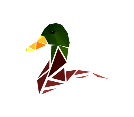 Vector duck in low poly styleのイラスト素材