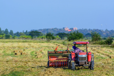 Farmer driving tractor in the fields  during haymaking in the countryside of Thailand.の写真素材