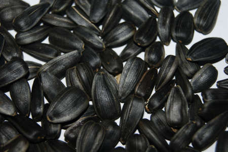 seeds