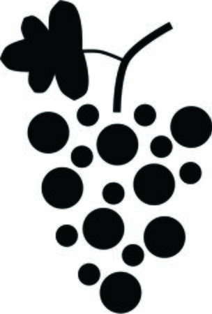 grapes, berriesのイラスト素材