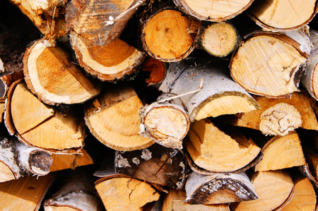 woodの写真素材