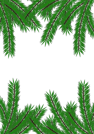 spruce, branchのイラスト素材