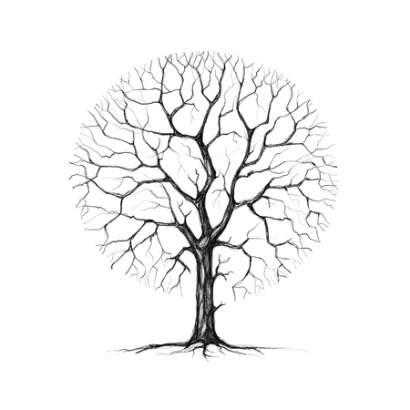 Painted winter tree on a white backgroundの写真素材