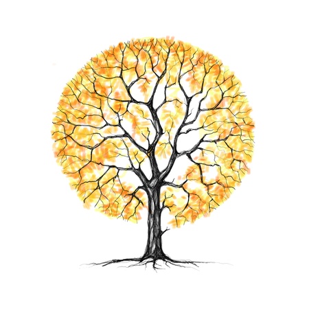 Painted Autumn tree on a white backgroundの写真素材