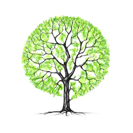 Painted spring tree on a white backgroundの写真素材