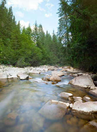 River in the Carpathian Mountains in Ukraineの写真素材