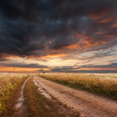 Beautiful summer landscape, sunset in the fieldの写真素材