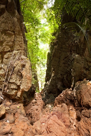 Tropical Rainforest Landscape, Thailand, Asiaの写真素材