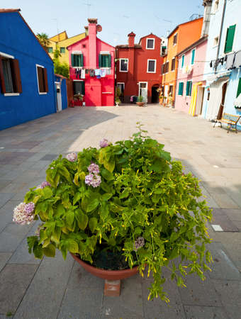 Colorful houses on the Island Burano, Italyの写真素材