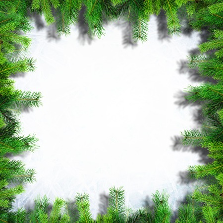 Christmas or New Year decoration background. Branches of pine trees on the background of ice.